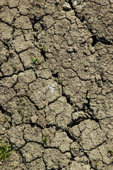 Cracks on the ground during a drought in summer