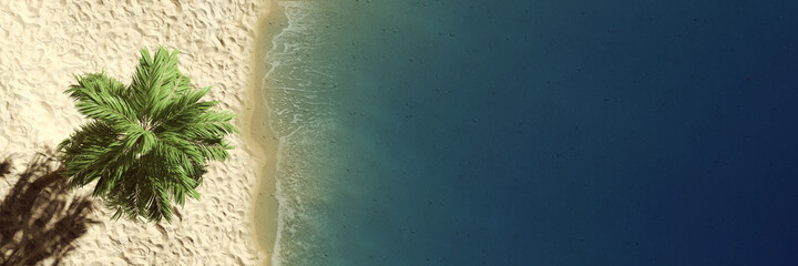 Strand mit Palme am Ufer vom Ozean in Karibik von oben © Robert Kneschke