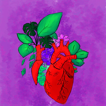 corazon con plantas sanando heridas