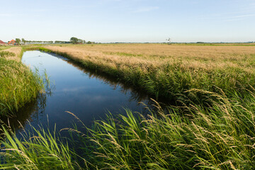 Landscape at Wormer- en Wisperveld