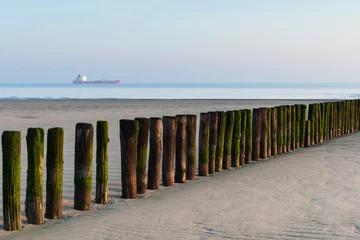 Zelfklevend Fotobehang Beach at Breskens in spring © AGAMI