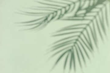 Silhouette of a tropical palm tree on a green background. Sunny summer concept.