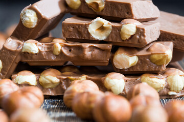 hazelnuts inside chocolate