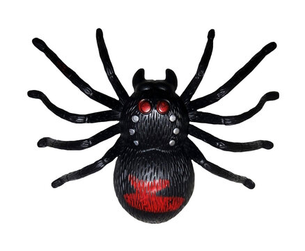 There Is A Black Toy Spider. White Background. Isolated.