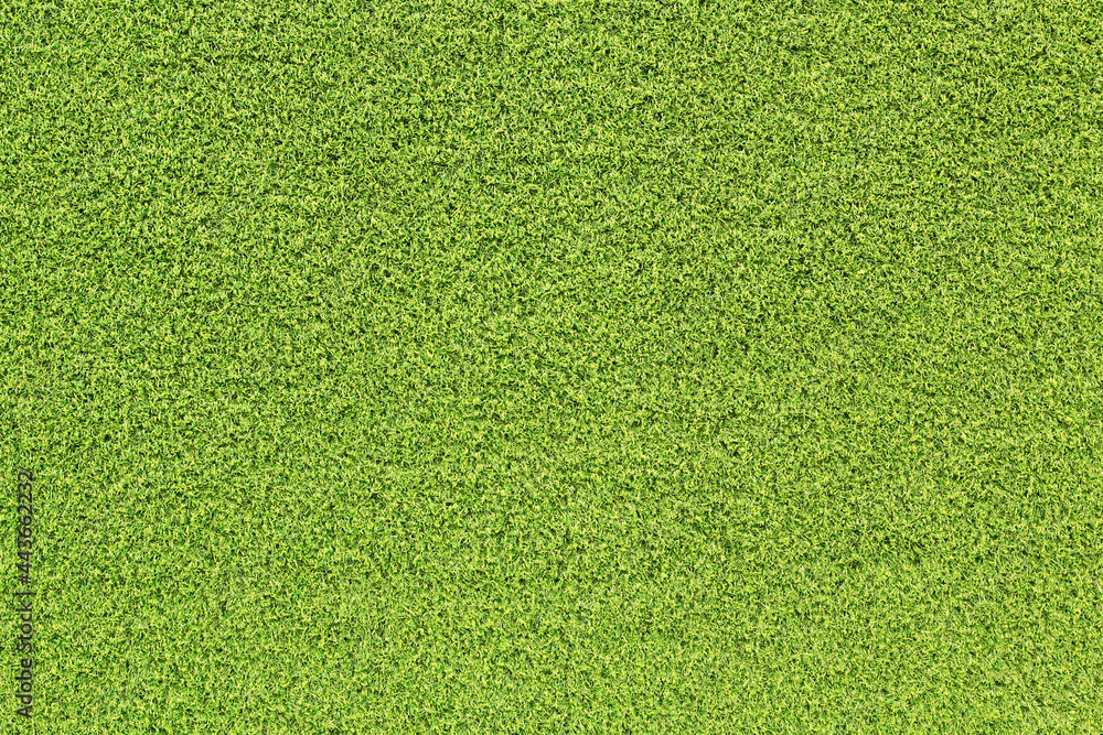 Canvas Prints top view green grass texture for background