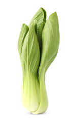 Bok choy vegetable (chinese cabbage) isolated on white background