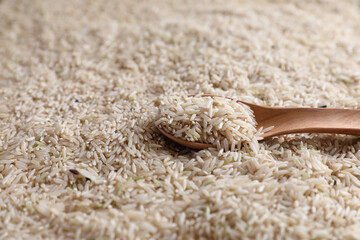 Organic raw brown rice in close up