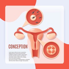 Pregnancy conception icon vector design illustration
