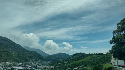 夏の風