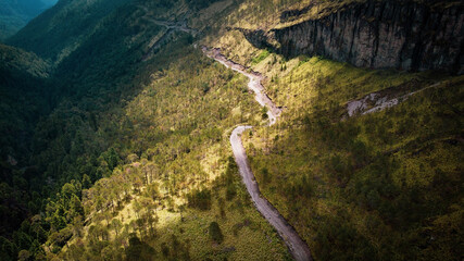 Caminos y bosques de pino en las altas montañas mexicanas del eje neovolcánico transversal 