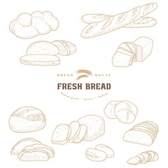 Set of natural elements of bread sketch vector illustration