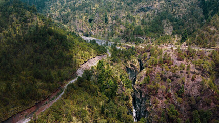 Fototapeta na wymiar Caminos y bosques de pino en las altas montañas mexicanas del eje neovolcánico transversal 