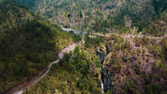 Caminos y bosques de pino en las altas montañas mexicanas del eje neovolcánico transversal 