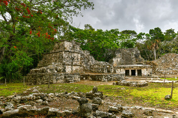 Fototapeta na wymiar Muyil Mayan Ruins - Mexico