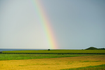 rainbow. rainbow in Vama Veche, Romania. - obrazy, fototapety, plakaty