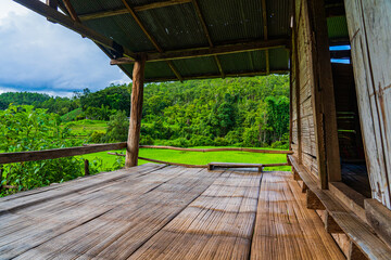 Wooden hut for farmer to rest beside the green rice fields in Chiang Mai, Thailand.