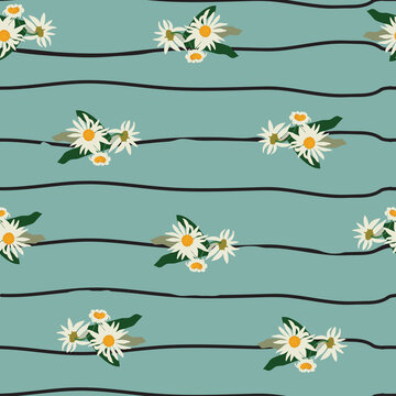 pattern with daisy and stripes