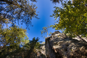 Felsen im Elbsandsteingebirge, Klettern in Rathen an der Elbe, Sachsen, Deutschland	