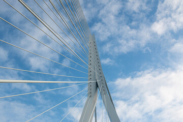 Erasmus bridge in Rotterdam with a cloudy sky