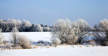 Obraz na płótnie Canvas landscape in the winter time
