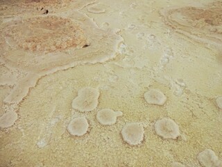 White Great Rann of Kutch  ,Salt desert in Gujarat ,india