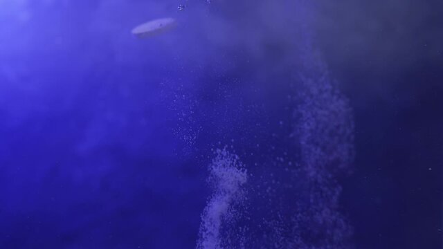 Two fizzing tablets fall through water in tank in slow motion against textured background with blue lighting.