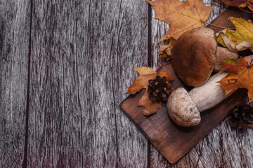 white Boletus mushroom. large autumn mushrooms on a wooden background. on a board with yellow autumn leaves. delicious edible mushroom