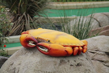A Large Model of an Orange Crab Marine Animal.