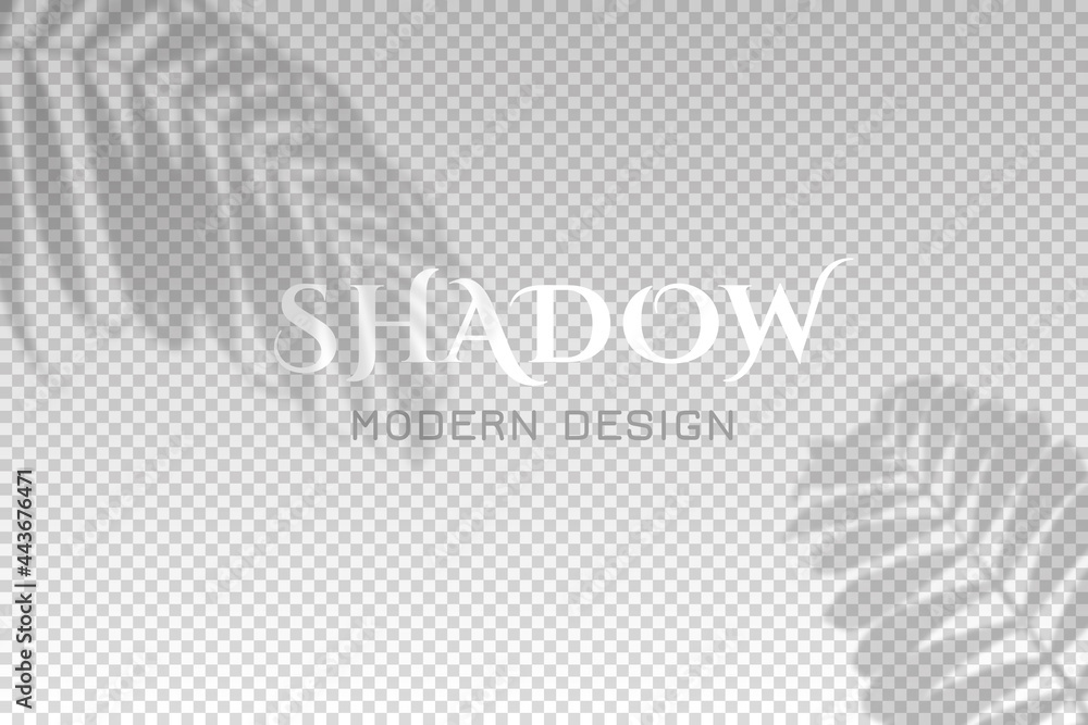 Poster shadow leaves from window. shadow palm leaf isolated on transparent background for effect overlay. s