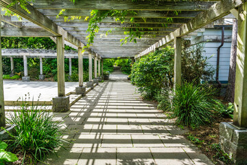 Garden Courtyard Architecture 6