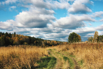 Fototapeta premium landscape with sky and clouds