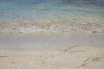 Mediterranean coast. Sand and seashells on the sand close-up. Djerba Island, Tunisia