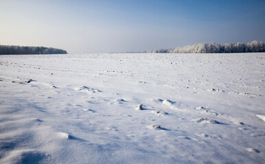 snow covered agricultural field