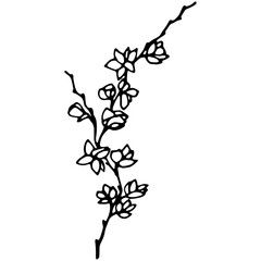 Vector image of a magnolia branch. A sketch. Hand-drawn. Design for fabric, print, wallpaper, tattoo, wedding.