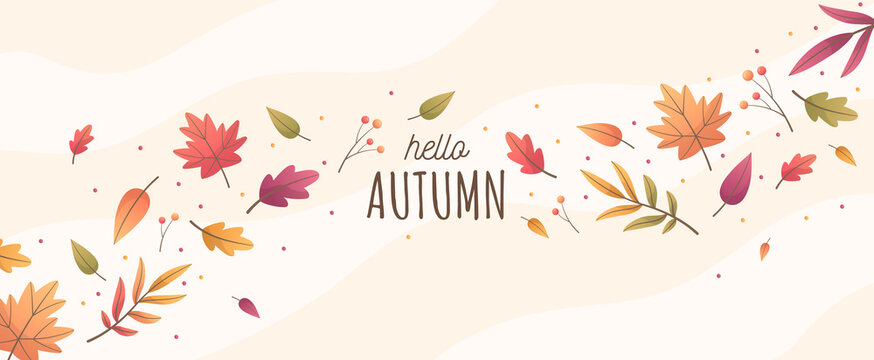 Hello Autumn with Colorful Leaves Background. Banner