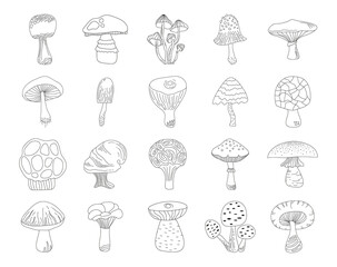 Black outline mushrooms set on white background. Hand drawing food vector illustration. Autumn clipart.