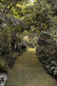 Le Jardin de Val&eacute;riane, Buchy, 76, Normandie, Seine Maritime