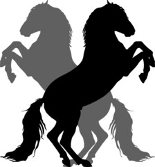 silhouettes of two Spanish horses standing on their hind legs, isolated on a white and landscape background.