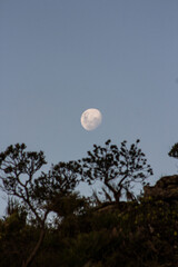 moon in the sky - Serra do Cipó, MINAS GERAIS