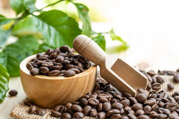 Obraz premium Coffee bean medium roasted in wooden bowl with leaf in fresh morning.