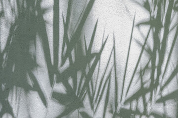 shadows of bamboo leaf is tropical leaves Overlay on Concrete white wall surface texture background. summer concept