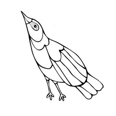 Isolated black and white vector design with lined silhouette of cute bird on white