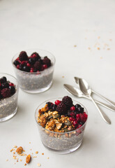 Snack nutritivo de pudim de chia, granola caseira e frutos vermelhos