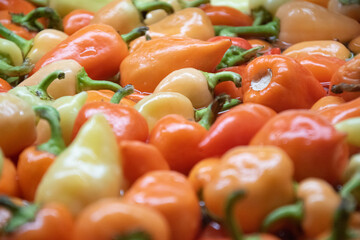 Hot peppers