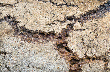 black homemade rye flour bread