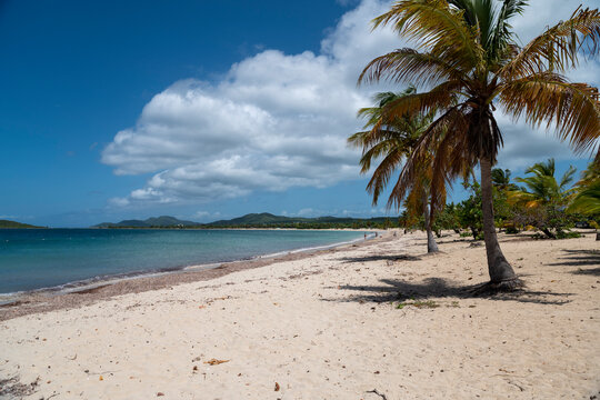 Sun Bay Beach in Vieques, Puerto Rico is one of the most beautiful beaches on the island