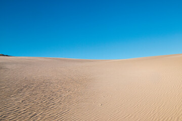 Beach Dunes da Joaquina - Tropical Island - Florianópolis, Santa Catarina - Brazil