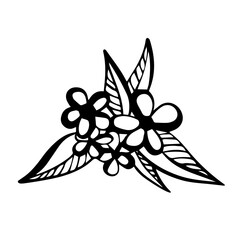 Isolated vector set of abstract black and white blossoming leaves and flowers line art 