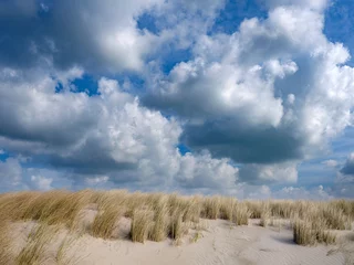 Türaufkleber Duinen bij Petten © Holland-PhotostockNL