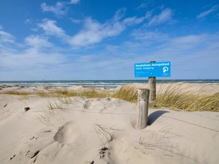 Fototapeten Strandslag de Putten in de Schoorlse & Hondsbossche duinen © Holland-PhotostockNL